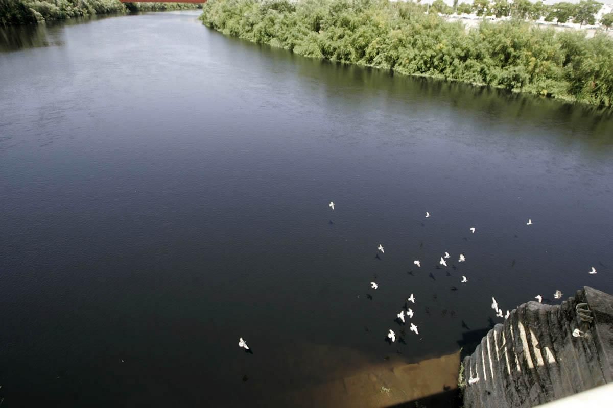 Fotogalería / Vertido de orujo en el Guadalquivir