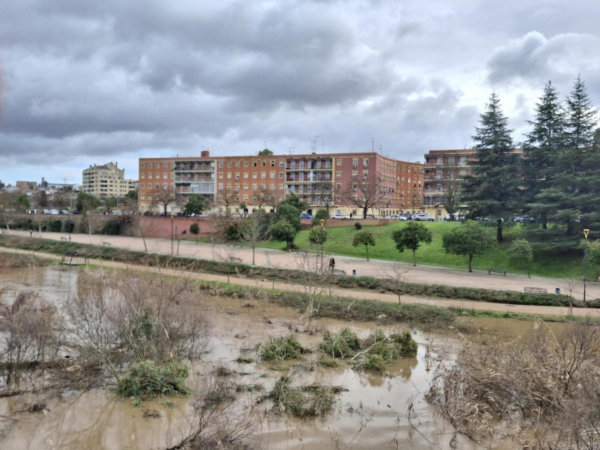 Fotogalería | El buen tiempo devuelve a los pacenses al río