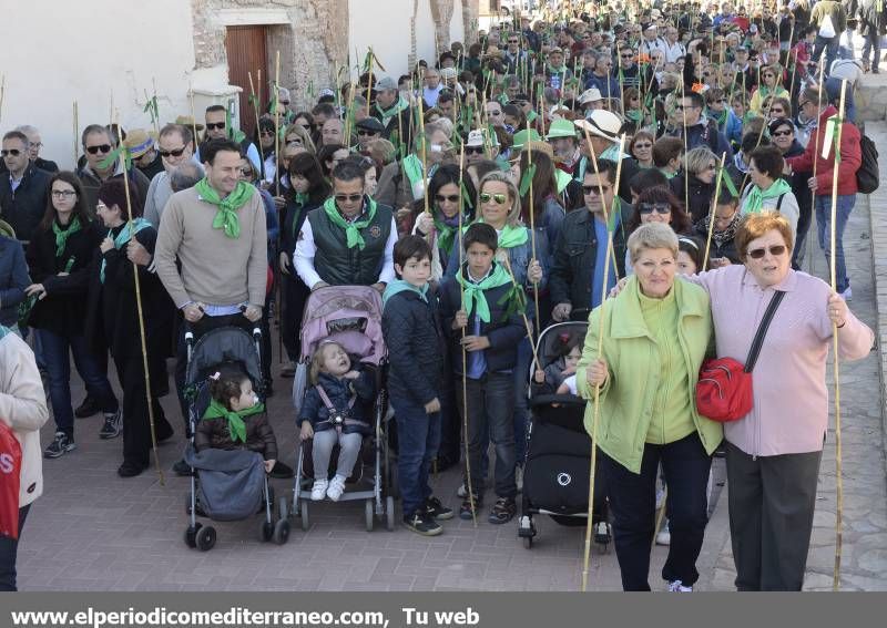 GALERÍA DE FOTOS - Romería Magdalena 2014 (5)