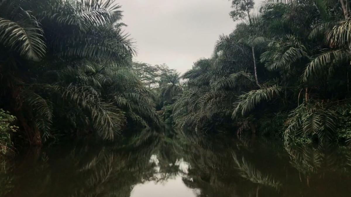 Fotograma de un río de la República Centro Africana en &quot;Ningún río me protexe de min&quot;