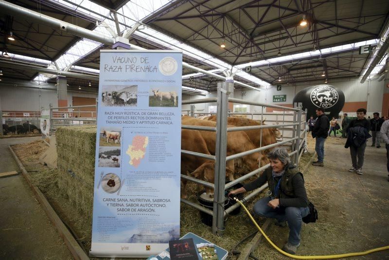 XIV Feria Internacional para la Producción Animal