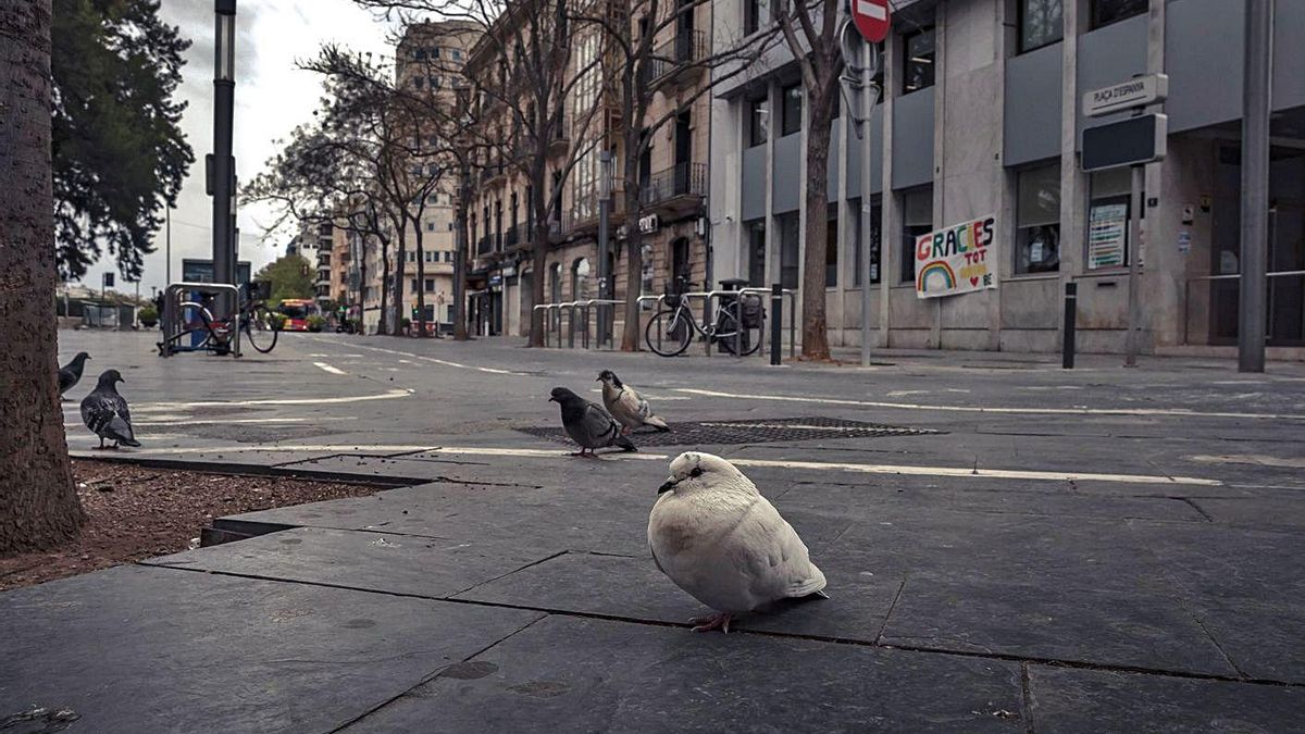 La plaza se reformó en 2002 y desde entonces los desperfectos son constantes.