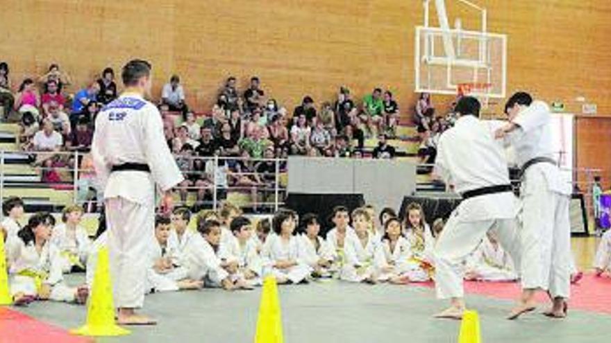 Prop de tres-cents infants participen en el Festival de Final de Curs de Judo d’Esport7 i Judo Moià | ARXIU PARTICULAR