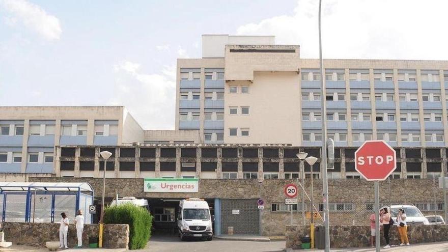 Herido grave un trabajador agrícola en Toril (Cáceres) al in
