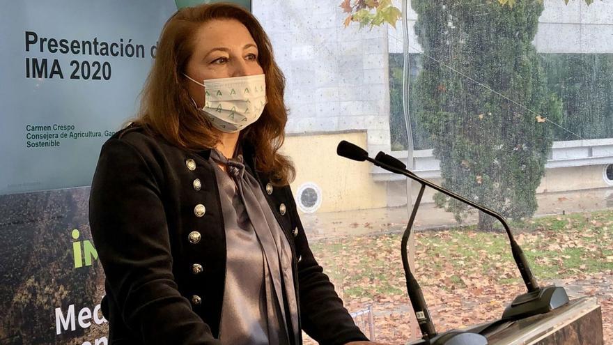 La consejera Carmen Crespo, durante la presentación del informe.