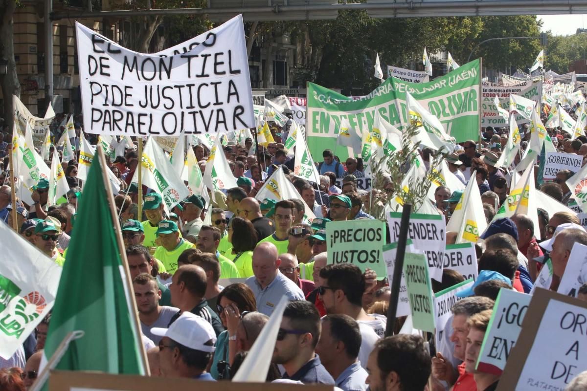 Córdoba se suma a la gran manifestación del olivar en Madrid