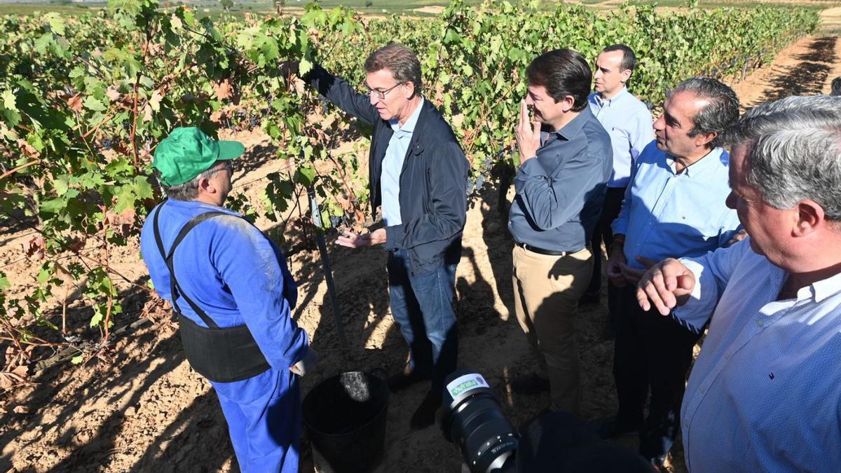 El líder del PP,. Alberto Núñez Feijóo, y el presidente de los populares en la región, Alfonso Fernández Mañueco, ayer durante su visita a Roa (Burgos).  | Ical