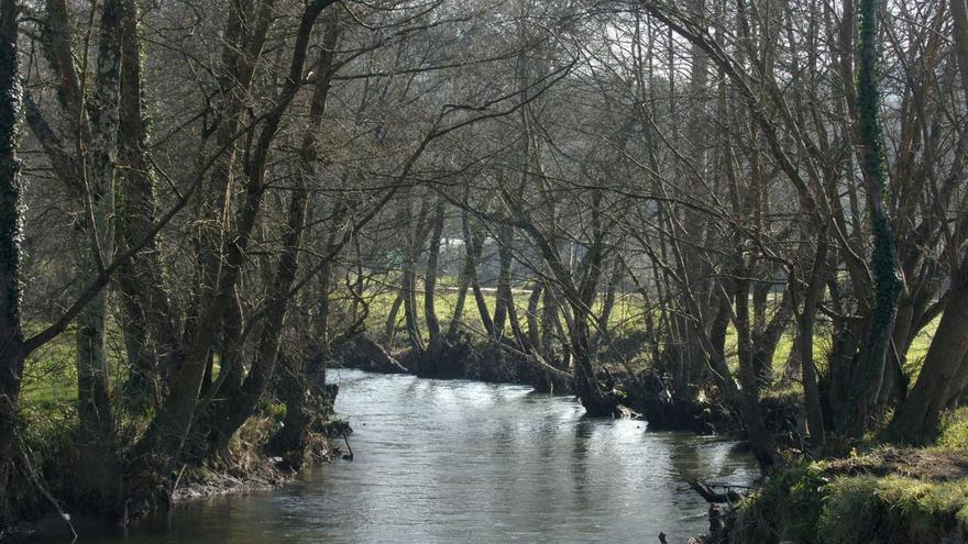 Cauce del río Mero. |   // F. MARTÍNEZ