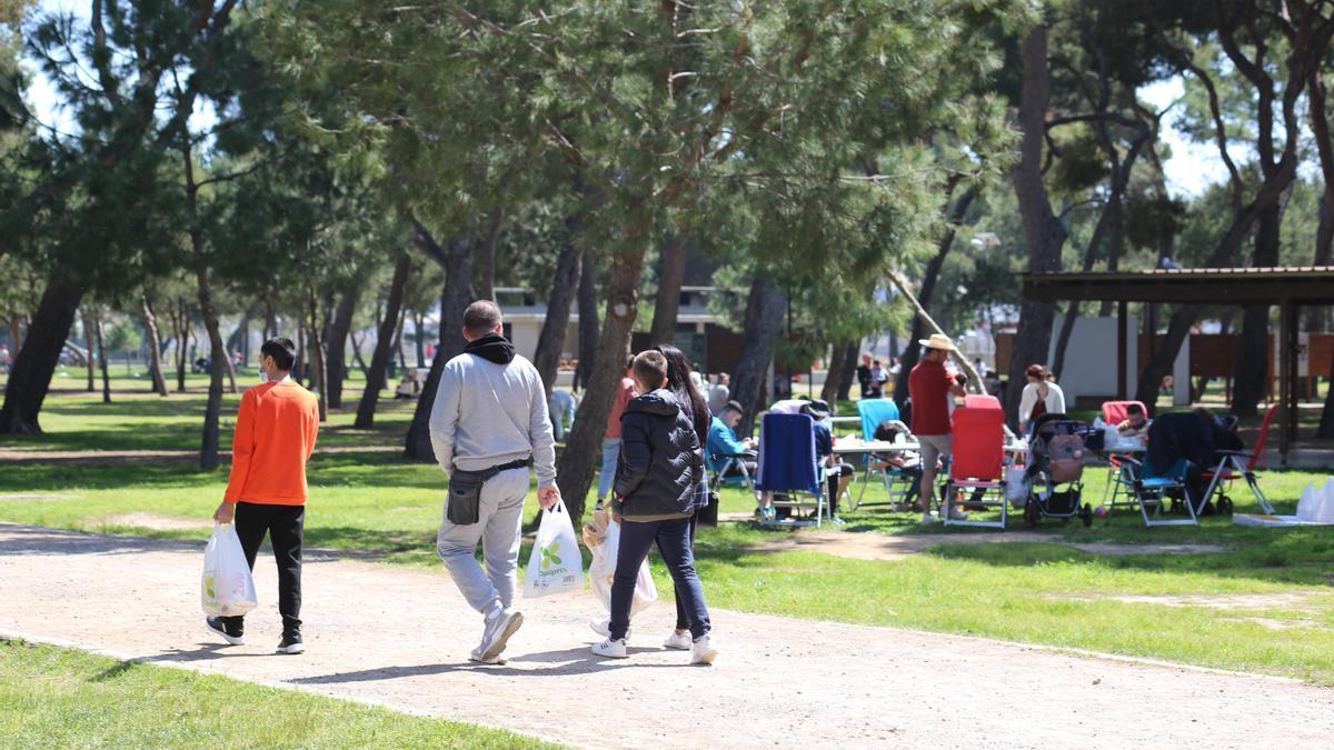 Las reuniones en espacios al aire libre como el Pinar de Castelló se mantienen como una de las opciones preferidas por los castellonenses a causa del covid.