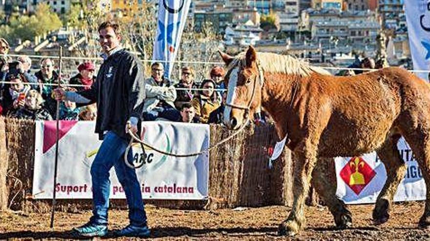 La Fira del Cavall de Puigcerdà celebrada l&#039;any passat