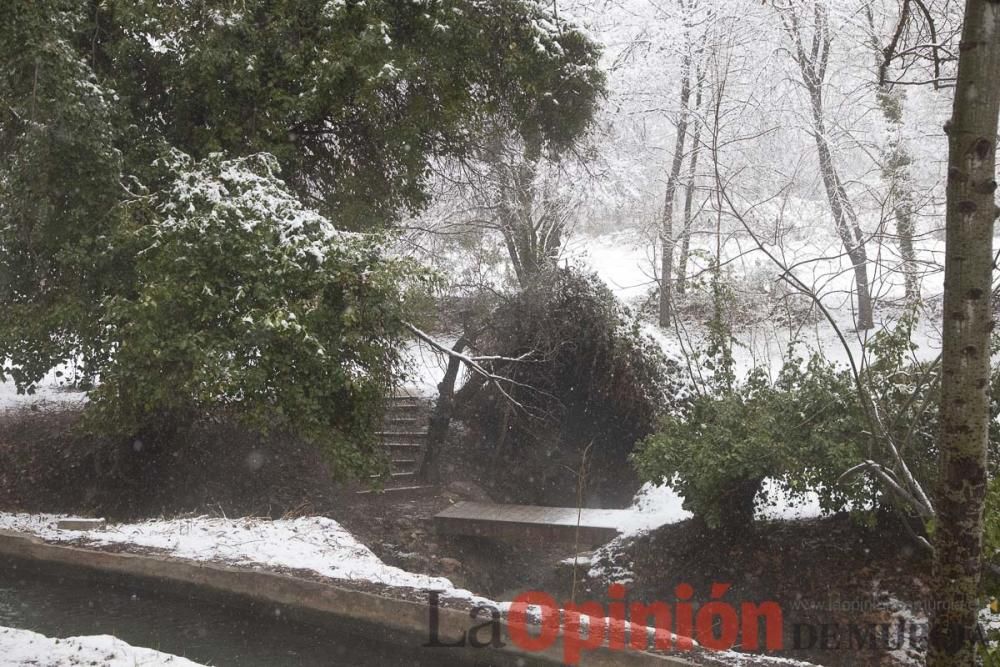 Nieve en las Fuentes del Marqués de Caravaca