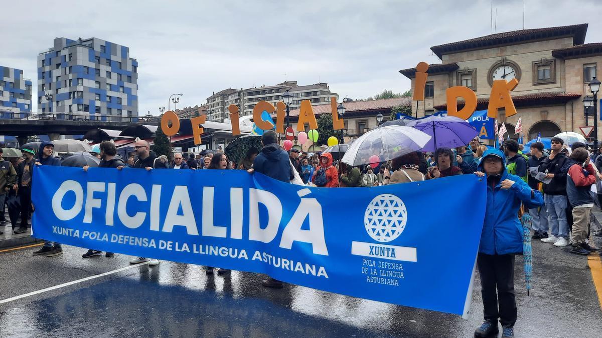 En imágenes | Multitudinaria manifestación por la llingua asturiana en Oviedo: &quot;Ya, ya, ya, oficialidá&quot;.