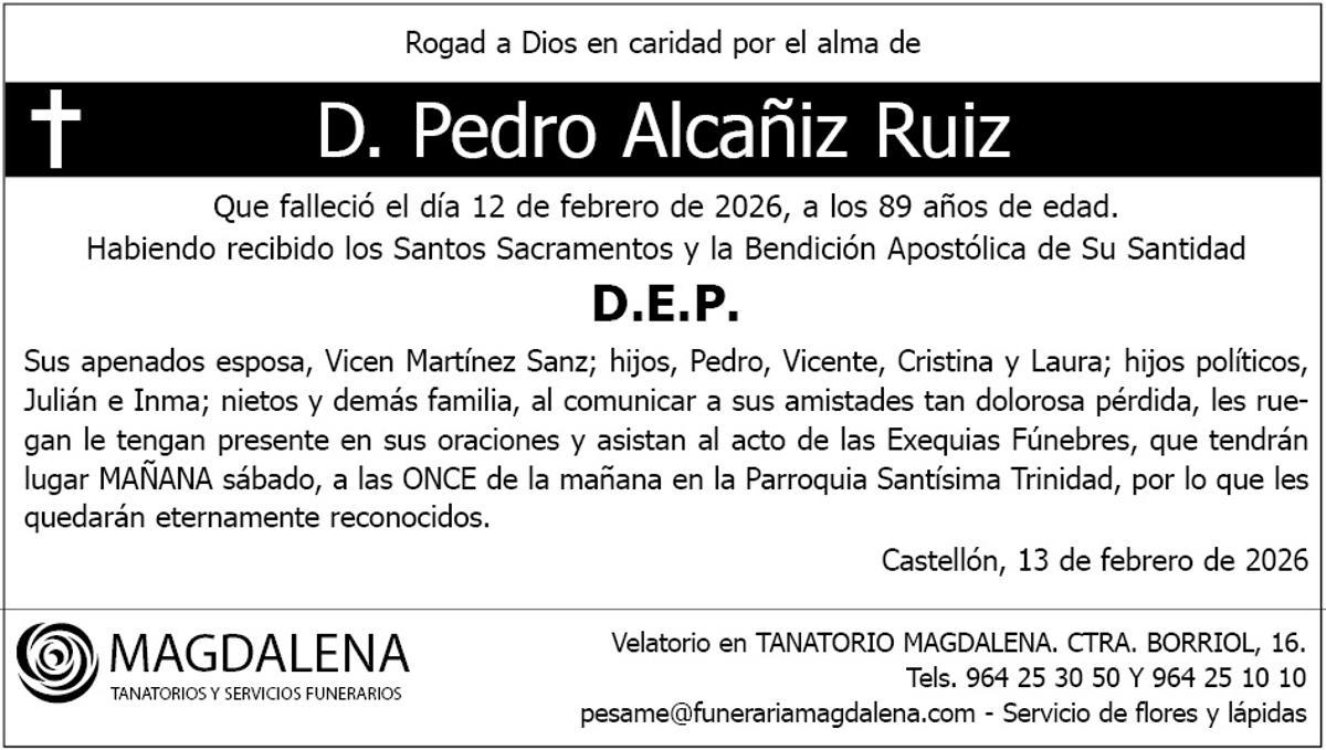 D. Pedro Alcañiz Ruiz