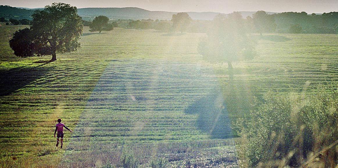 Una pradera cerca de Anchuras, por la CM-4106