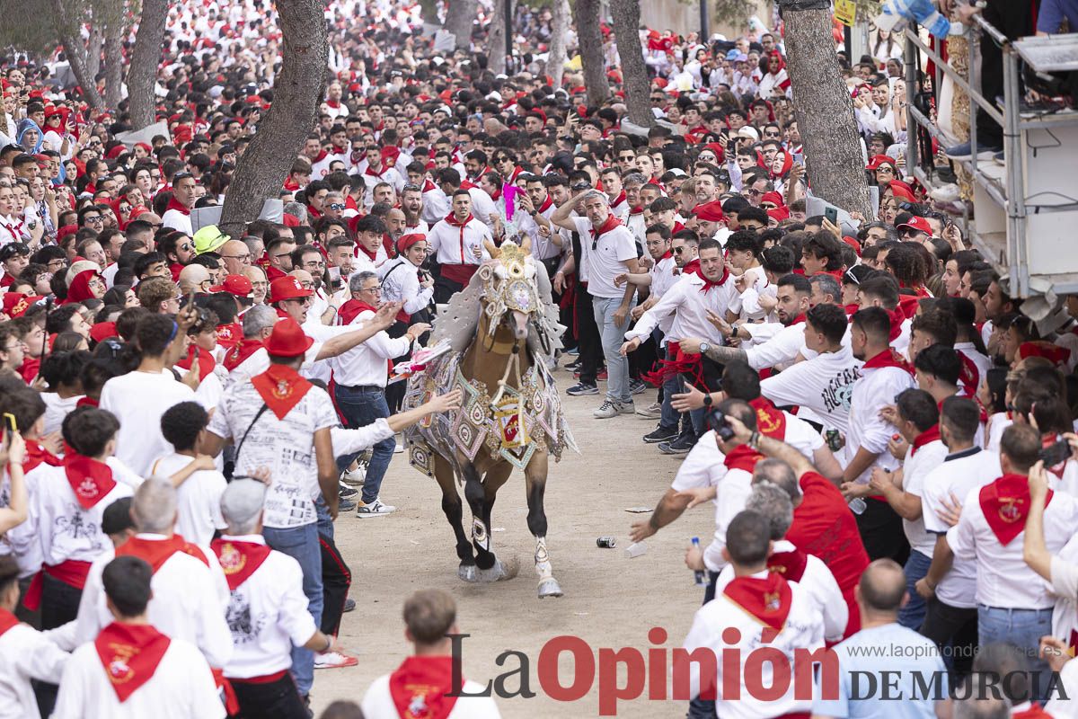 Así se ha vivido la carrera de Los Caballos del Vino en Caravaca