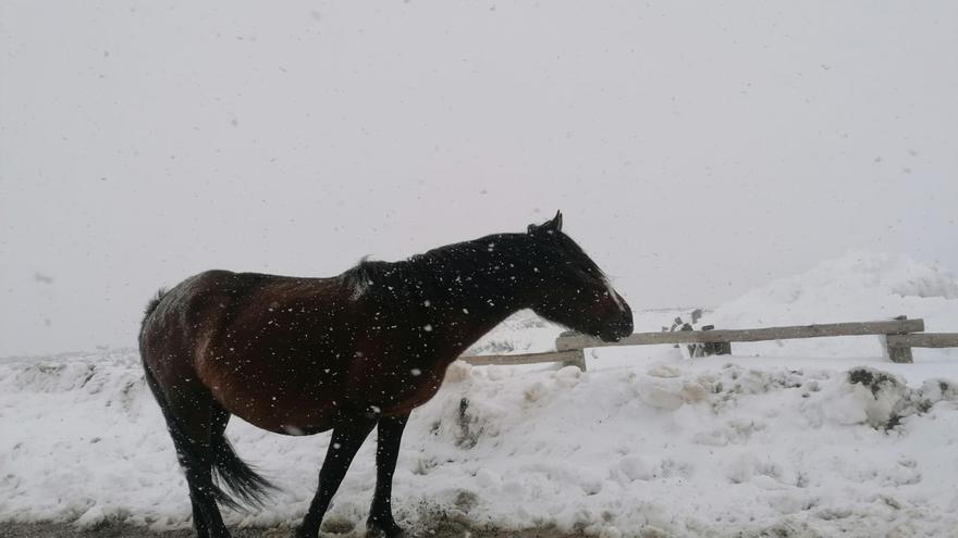 GALERÍA | Último sábado para disfrutar la nieve en la Laguna de Peces