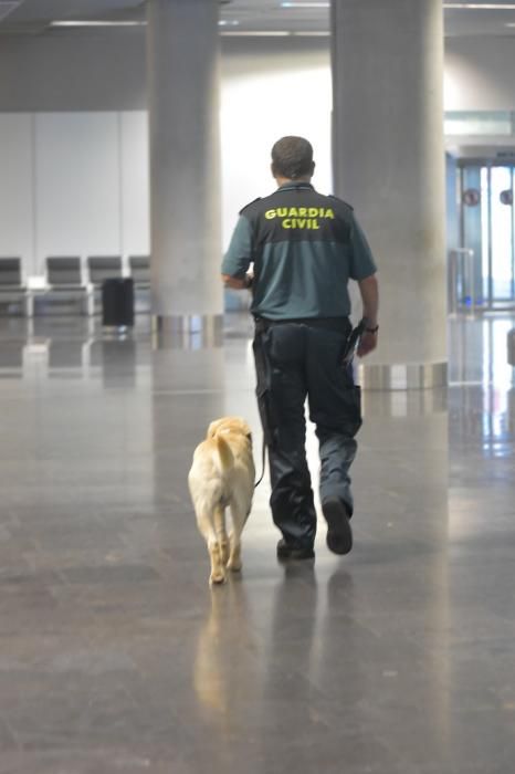 REPORTAJE UNIDAD CANINA AEROPUETO DE GRAN CANARIA