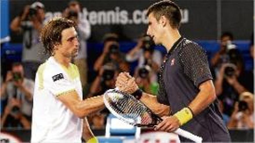 Tennis  Djokovic atura David Ferrer a Austràlia