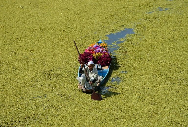 Un vendedor de flores navega con su bote por el lago Dal en Srinagar. (HUSSAIN / AFP)