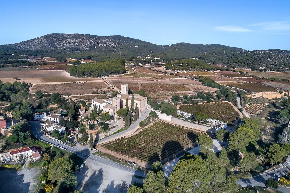 Viñedos de todo el barrio histórico de "Sota Ribes" en Sant Pere de Ribes