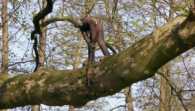 The woodcutter, Amsterdam