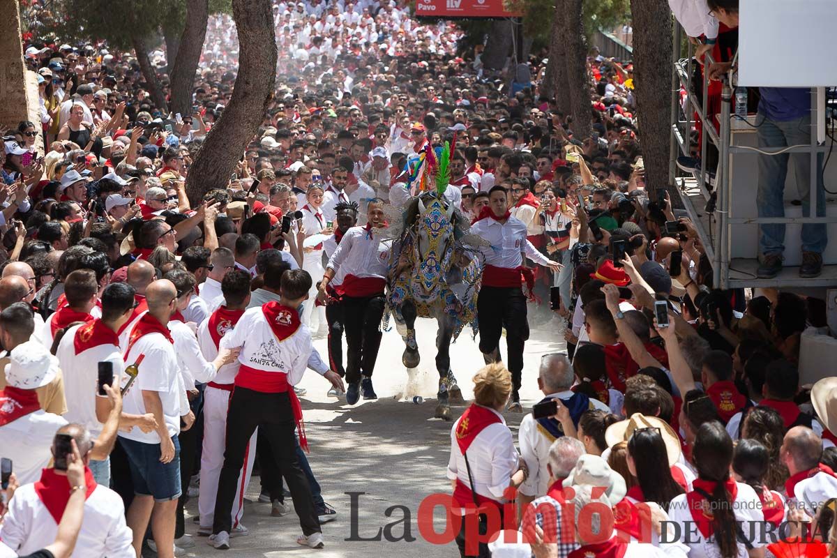 Así ha sido la carrera de los Caballos del Vino en Caravaca