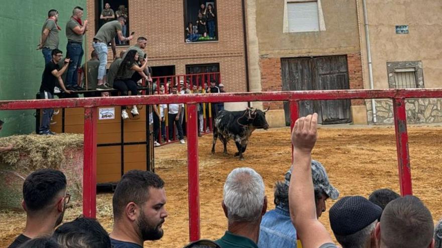 Aficionados en el festejo taurino de San Isidro celebrado el pasado año. | CEDIDA