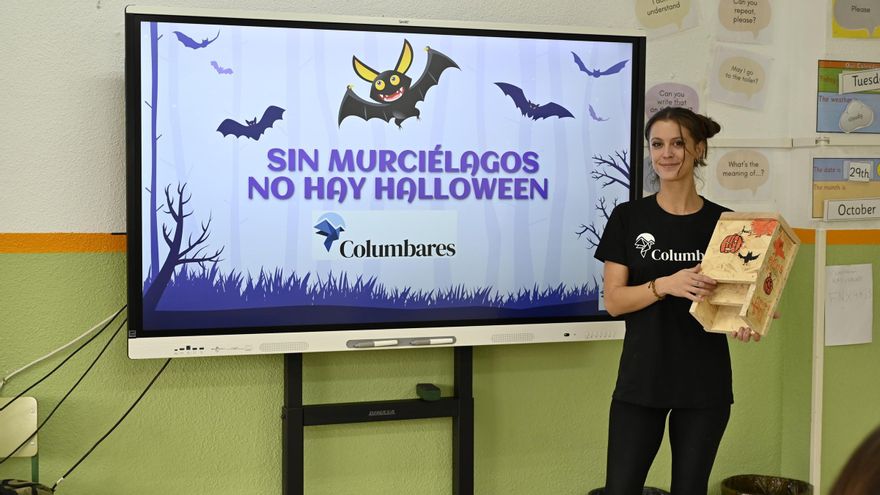 Sin murciélagos no hay Halloween