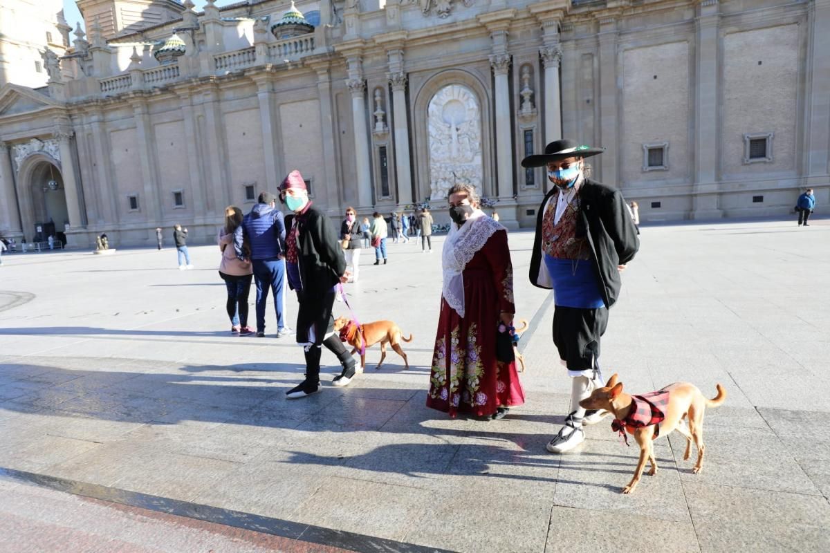 La basílica del Pilar recibe a los zaragozanos con aforo reducido y medidas de seguridad