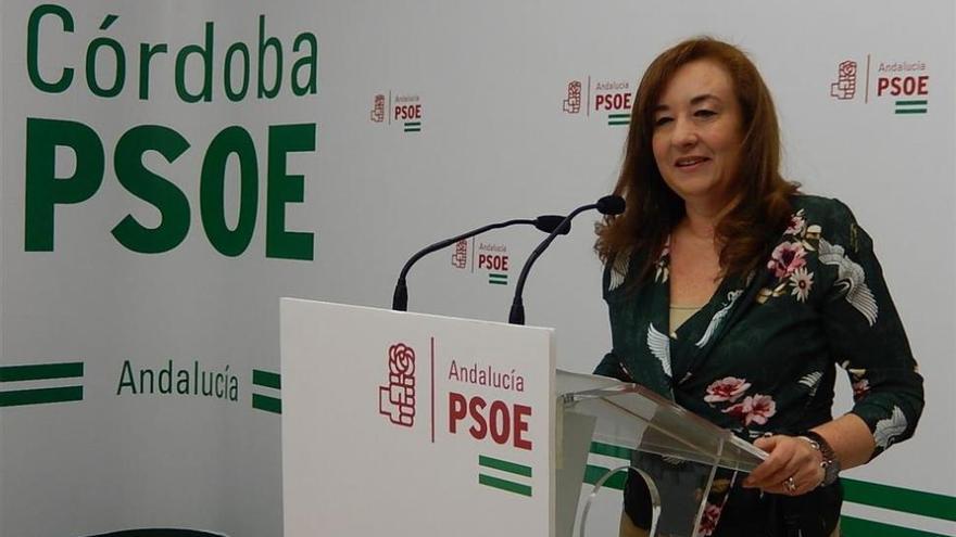 El PSOE estima que la Renta Mínima de Inserción Social beneficiará a 5.400 familias cordobesas