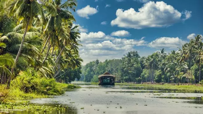 Alappuzha: la Venecia de Oriente repleta de templos y casas flotantes