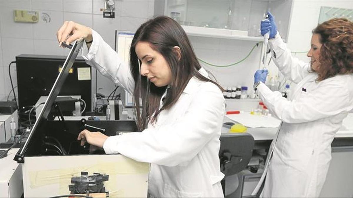 Alumnas universitarias durante una investigación.