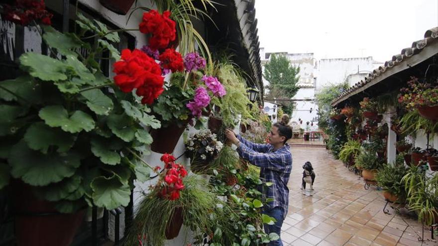 Patios de Córdoba: Un ‘pasillo’ popular