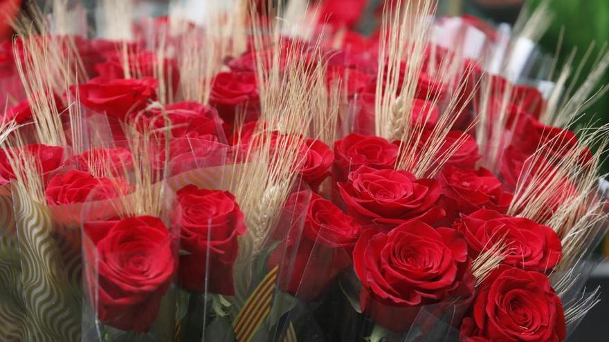 Llibreters i floristes acorden celebrar  el Sant Jordi alternatiu el 23 de juliol