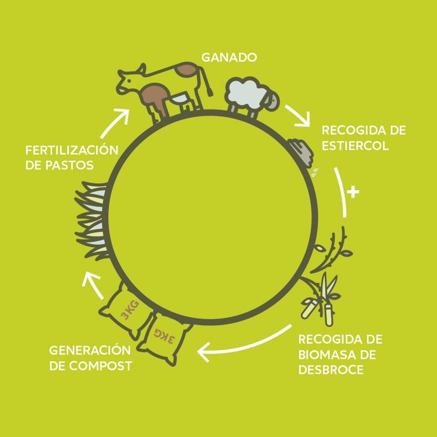 Grafico del modelo de Economía Circular que supone eMULA