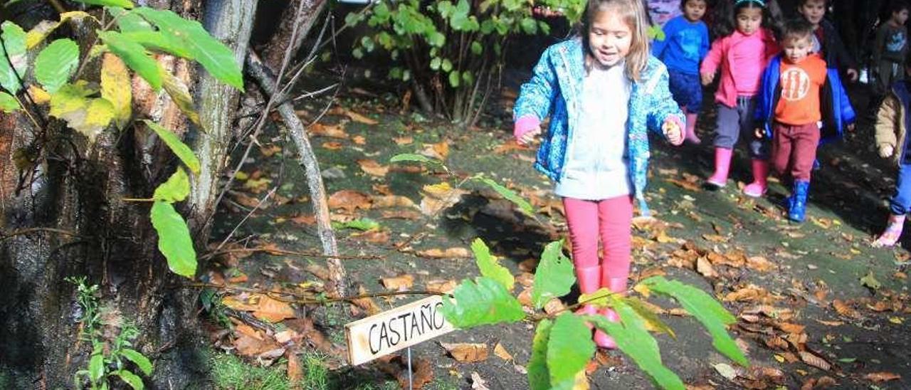 Sara Barral se acerca a un castaño en el bosque del colegio Marcos del Torniello con sus compañeros detrás.