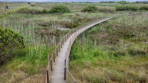 Set rutes curtes a peu per la natura