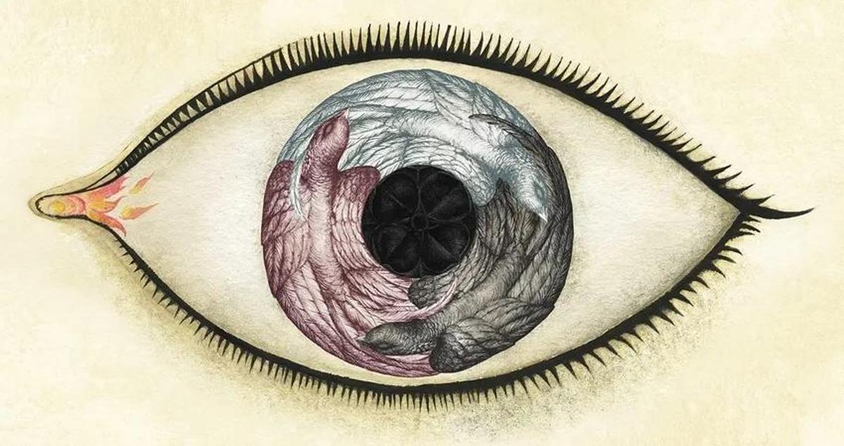 'Wunderkammer', de Ana Juan.