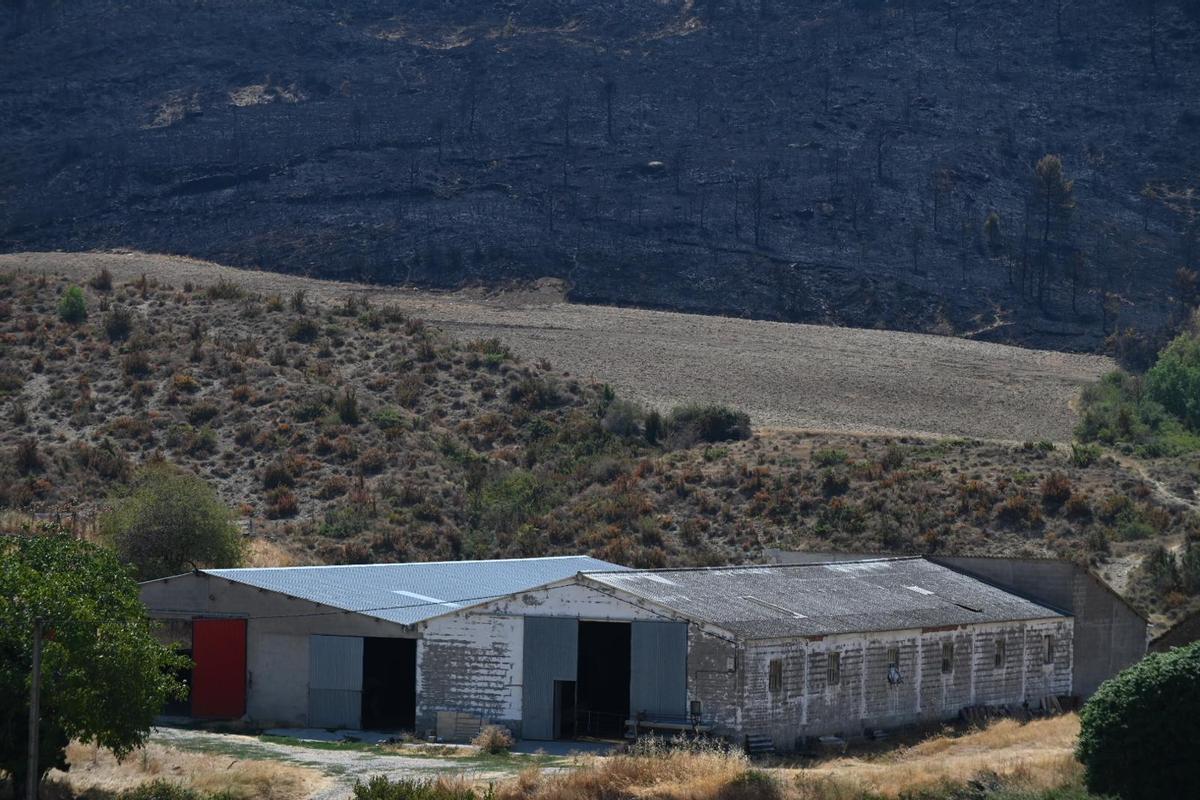 En imágenes | Vecinos de varios municipios vuelven a sus casas tras ser evacuados por el incendio de La Peña En imágenes | Vecinos de varios municipios vuelven a sus casas tras ser evacuados por el incendio de La Peña