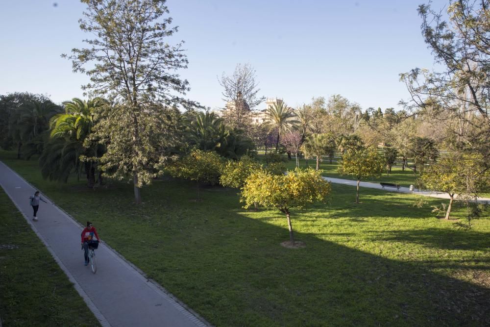 Actividades en el jardín del Túria, el antiguo cauce del río en València.