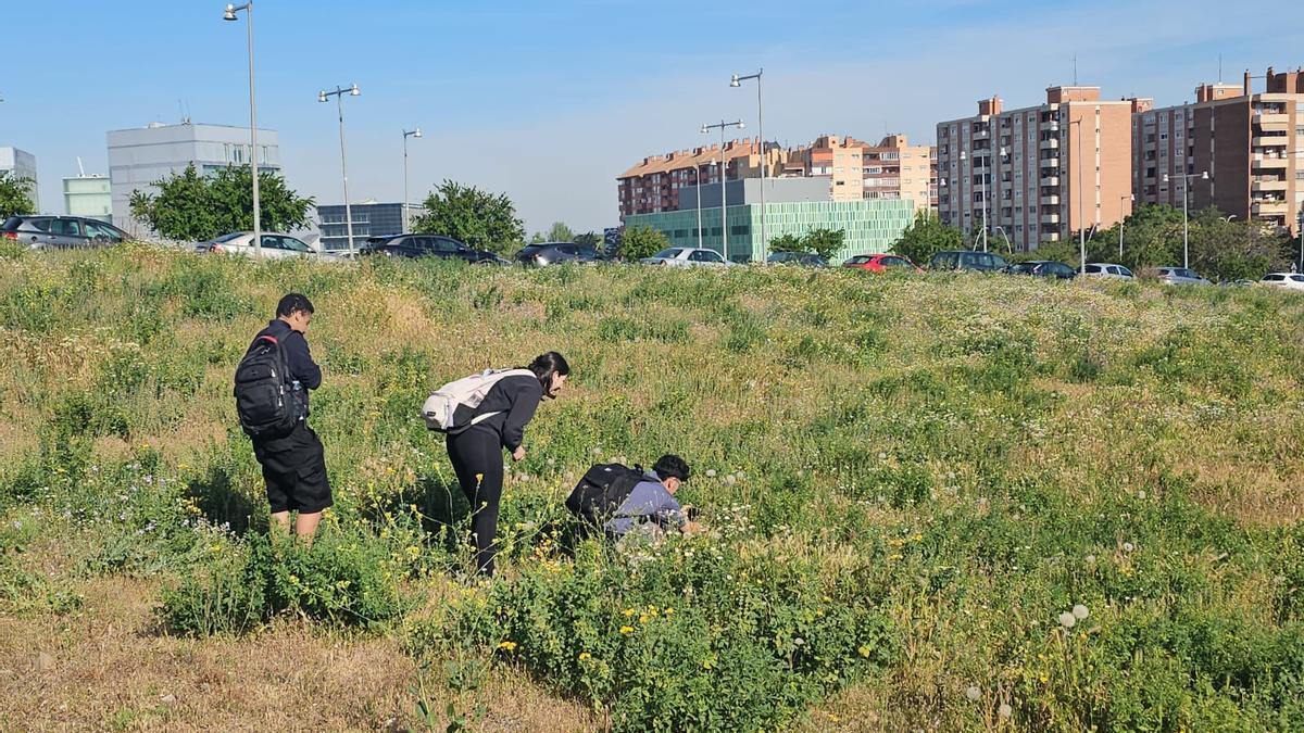 Alumnos del IES El Portillo de Zaragoza participan en el proyecto 'Quincena de Mariposas'