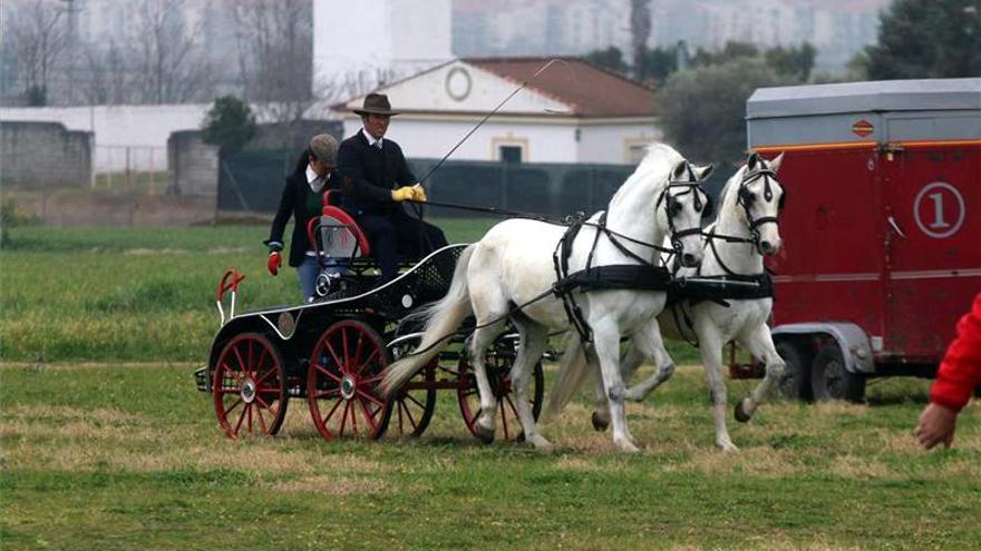 Veinte cocheros inscritos en el concurso combinado del Hípico