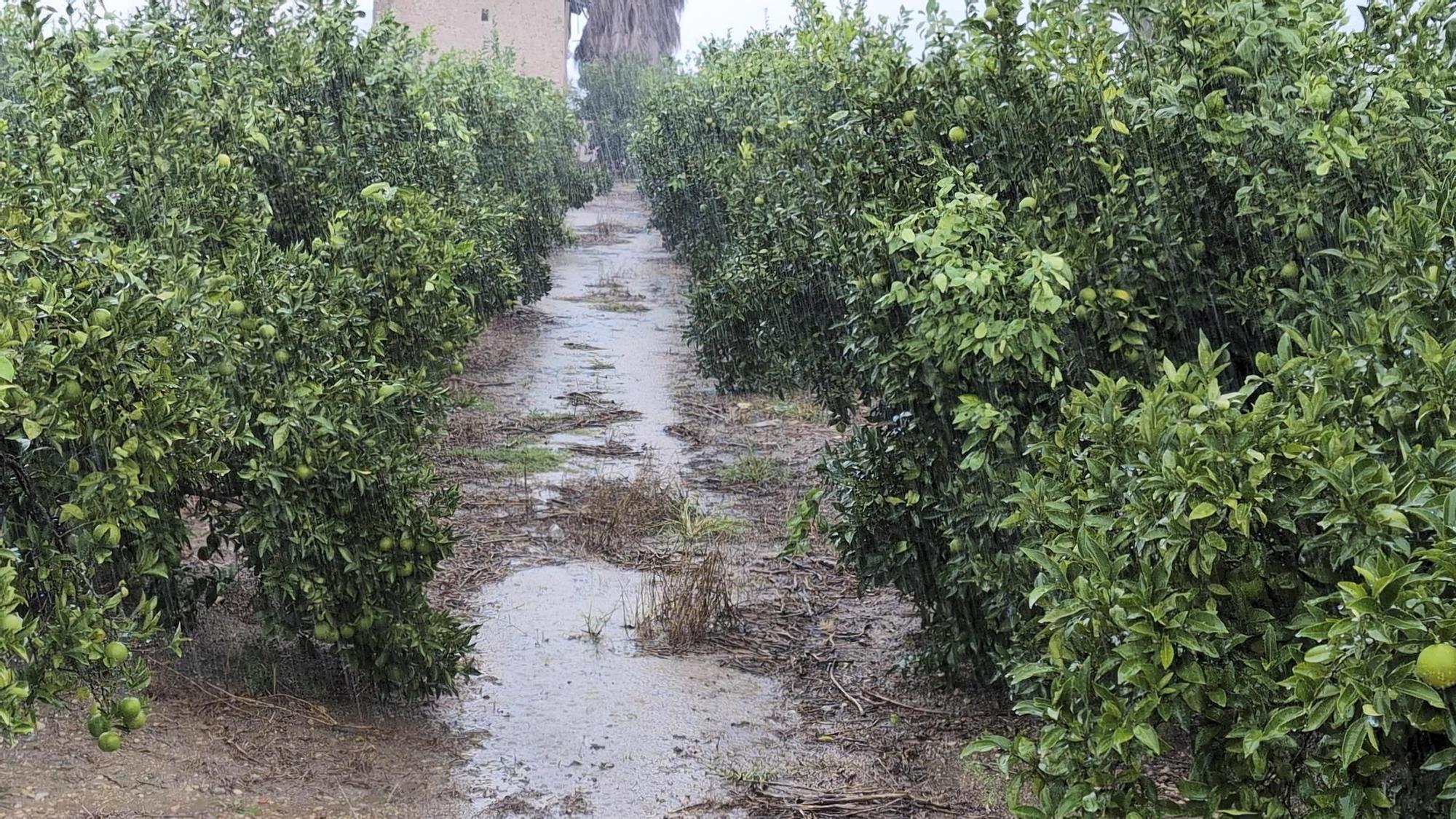Galería: La lluvia descarga con fuerza en Xàtiva