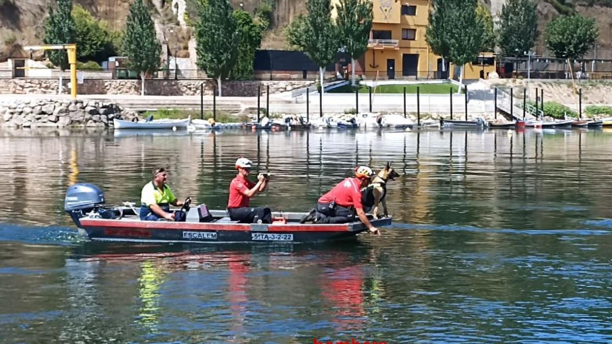 Els Bombers localitzen un cos, a una illa del riu, a Móra d'Ebre