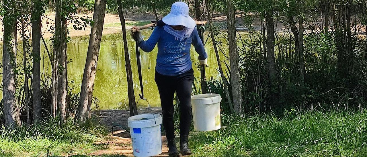 Una dona carregada amb dos pots plens d'aigua extreta d'una bassa de les hortes de Santa Eugènia.