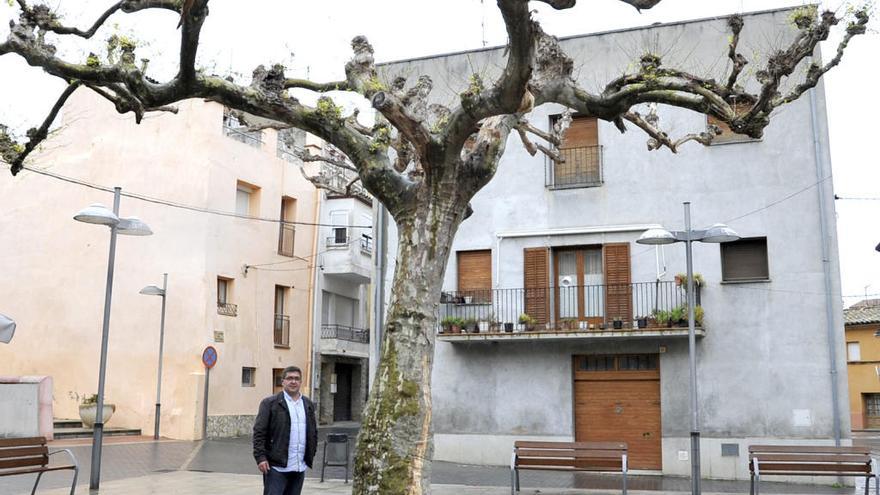 El regidor Francesc Marín, al costat de l&#039;Arbre de la Llibertat.