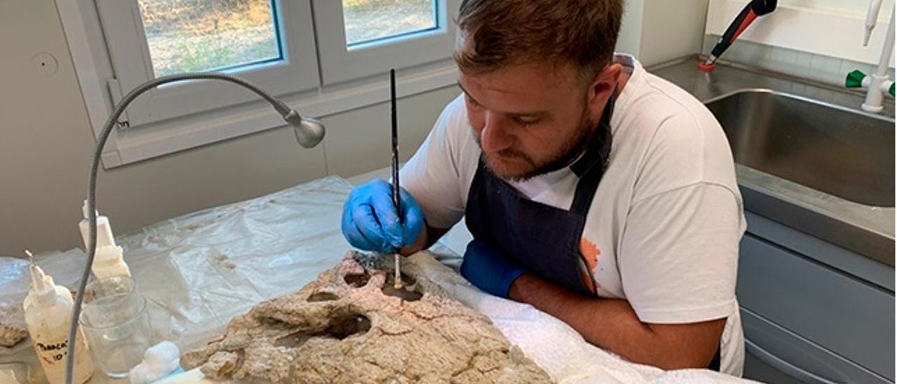 Uno de los investigadores del estudio sobre cocodrilos, con un fósil