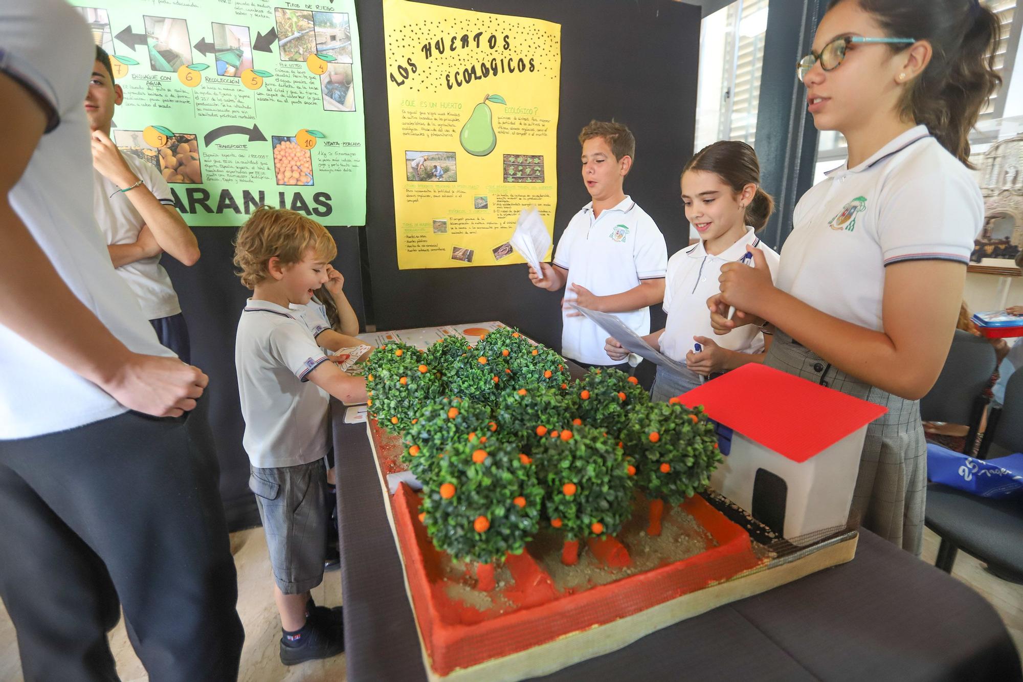 Jóvenes embajadores del Parlamento Europeo resaltan el legado de la huerta en Orihuela