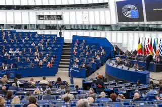 Una veintena de eurodiputados de izquierda pide a la Comisión que interceda para garantizar el derecho de los votantes reconocidos por la 'ley de nietos'