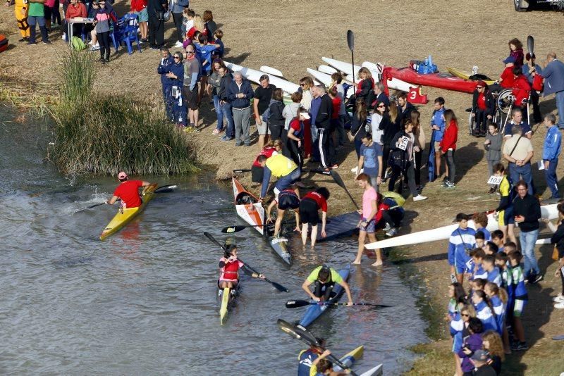 Campeonato de regatas en el Ebro